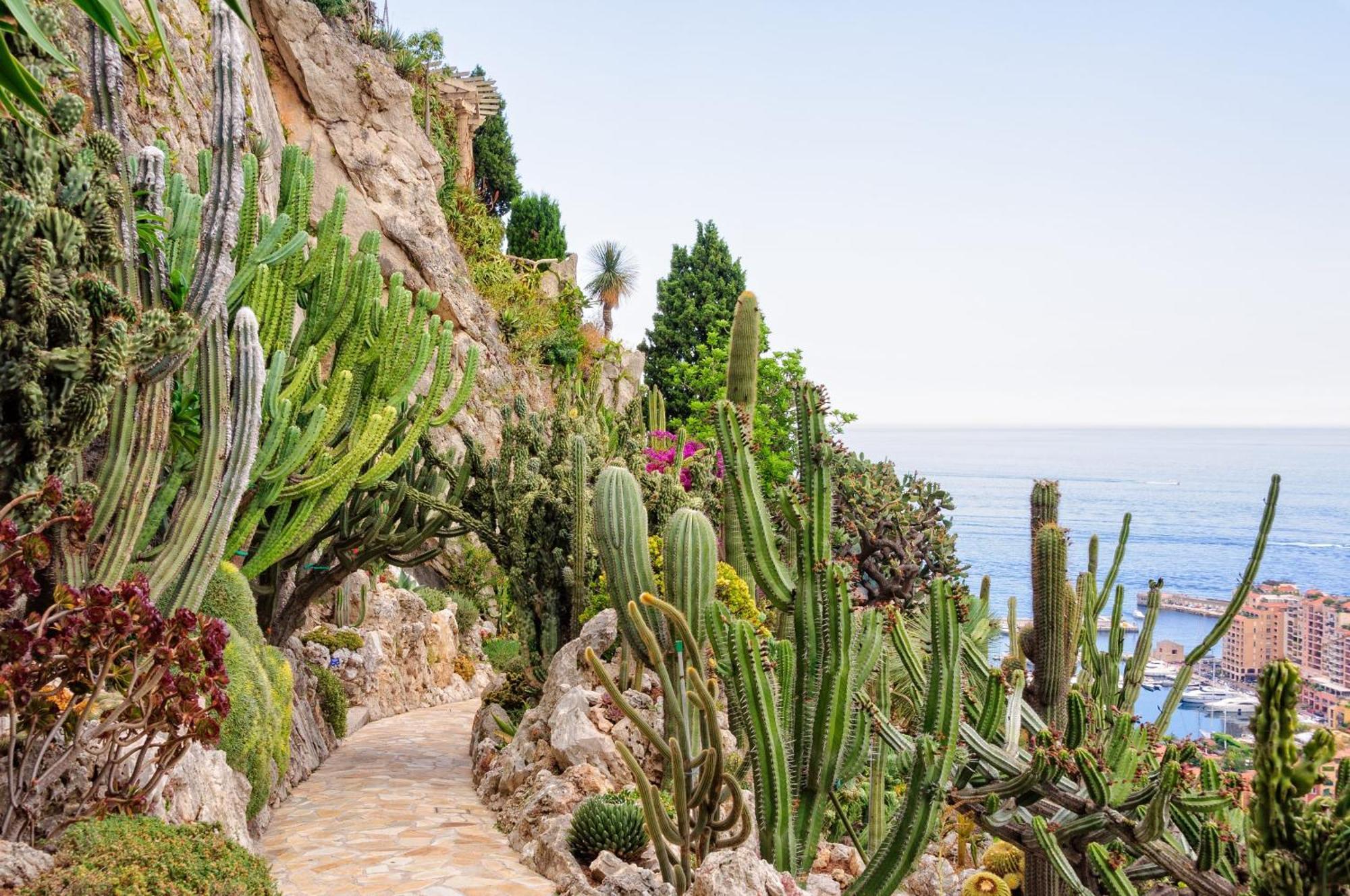 Sejour En Pleine Nature, Vue Imprenable, Jacuzzi Contes  Exterior foto